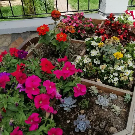 别墅 Lighthouse Lilia