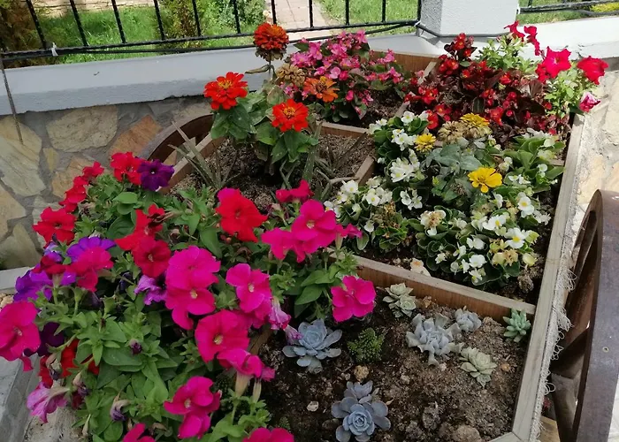 Villa Lighthouse Lilia